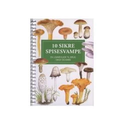 10 Sikre Spisesvampe - Lommeguide