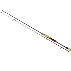 Quantum Magic Trout Cito Solid