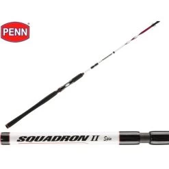 Penn Squadron II SW Travel Spin